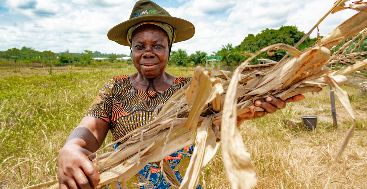 Ms. Aku Tokpu, a farmer in the village of Atti-Apédokoè in Togo, holds a maize stalk which she will use as an ingredient of biochar.