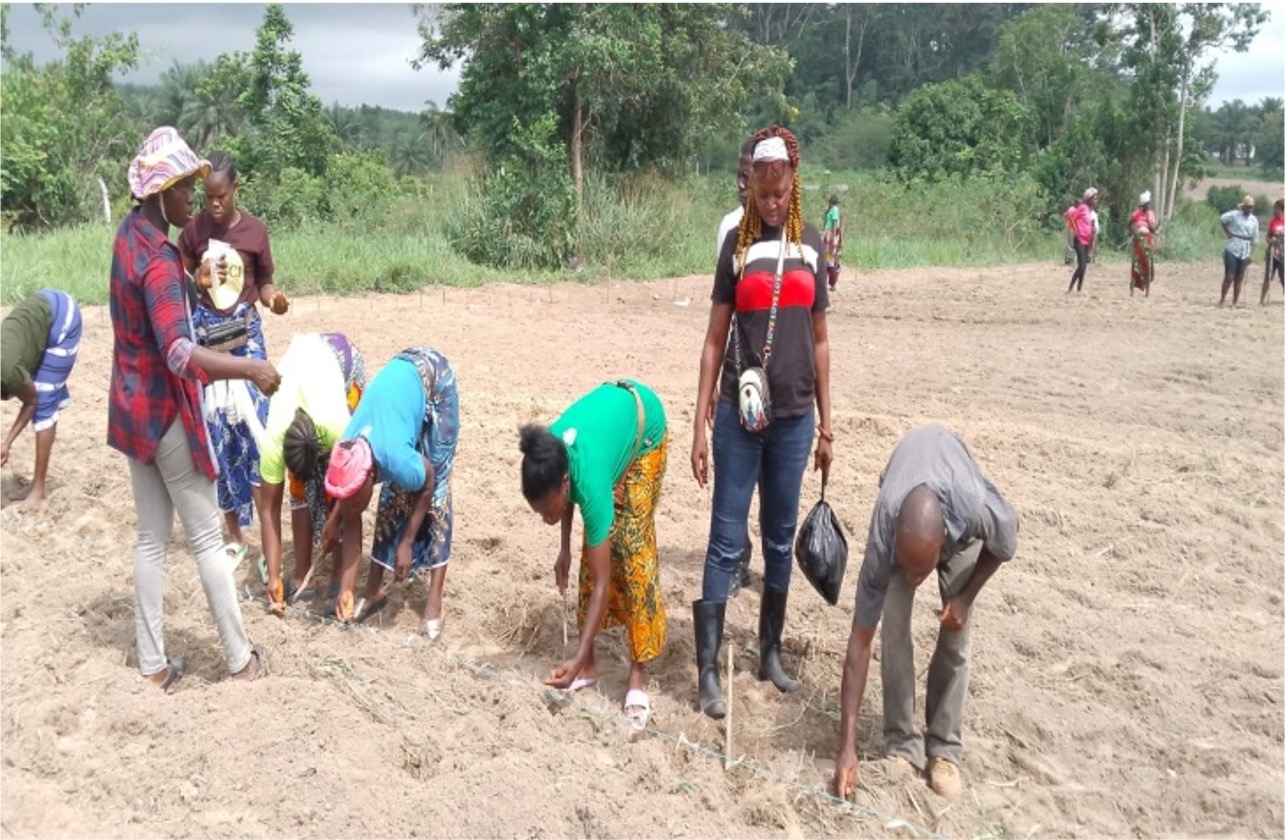 Training on Weed Management and Fertilizer Application