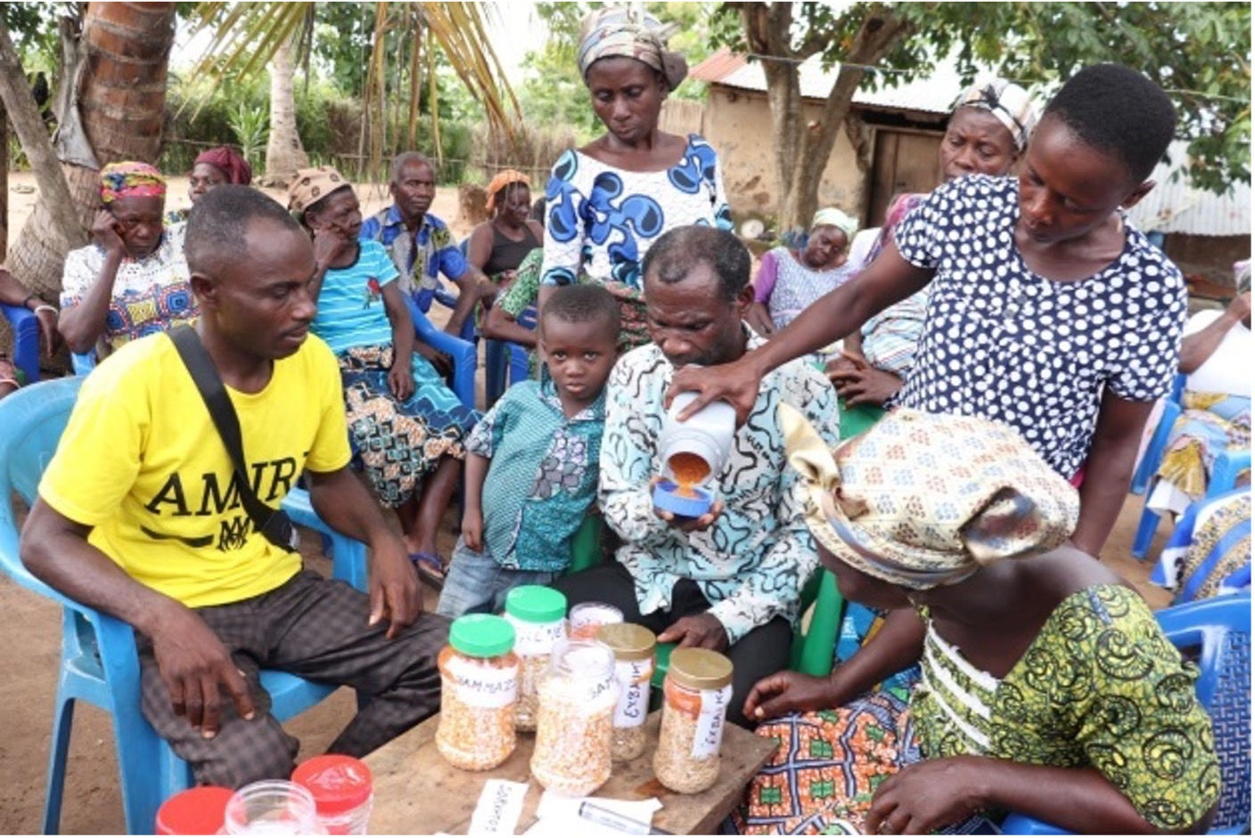 Atti‑Apédokoe Best Practice Hub supporting cooperatives seed multiplication activities – Togo