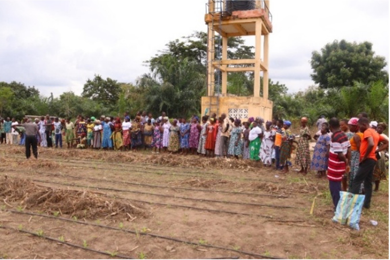 Promoting Innovation and Learning Through Farmer Knowledge Exchanges-Togo