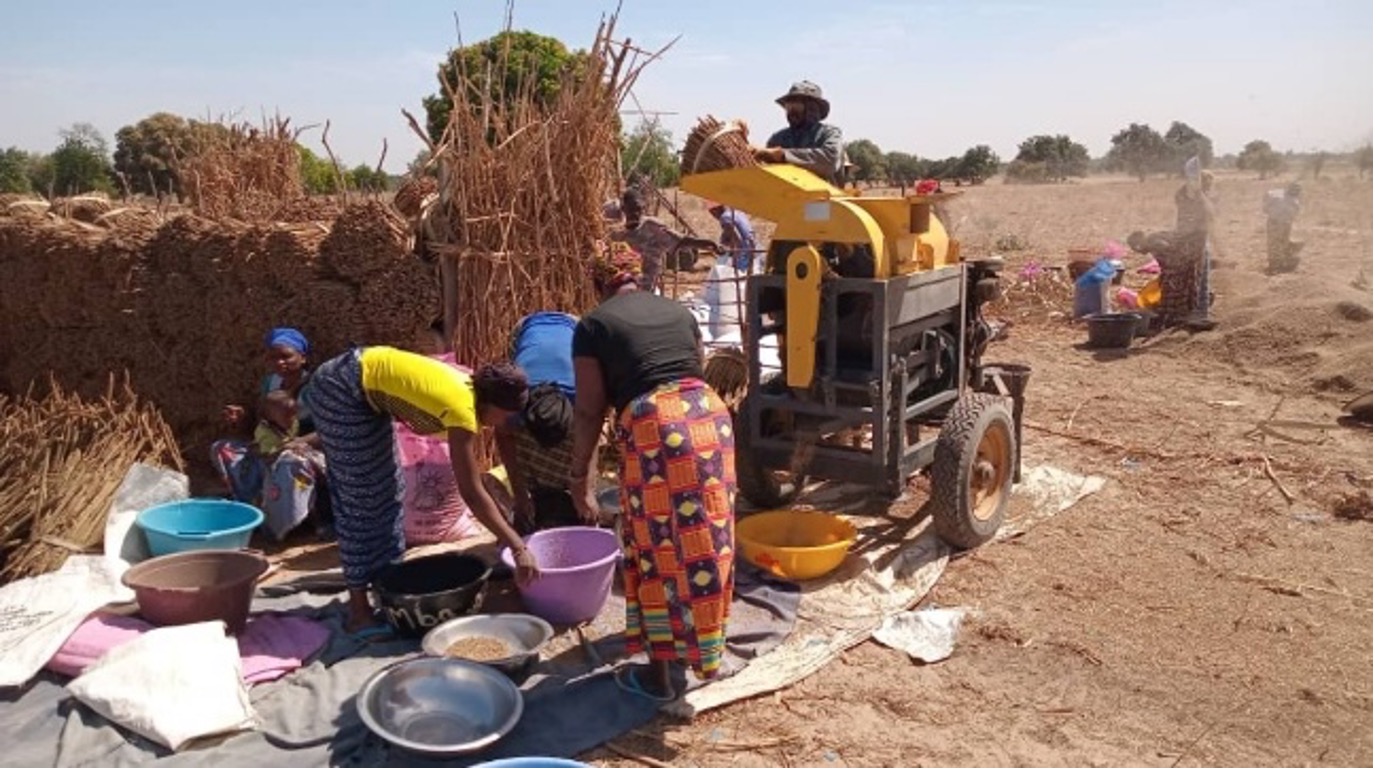 Empowering Farmers through Machinery and Quality Seeds-The Gambia
