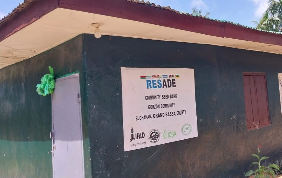 Supporting farmer’s accessibility to seed and post-harvest machinery in Buchanan-Liberia