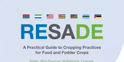 A practical to cropping practices for food and fodder crops