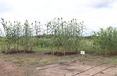 RESADE project implementation in Togo