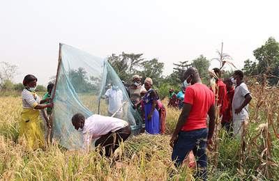 RESADE project implementation in Togo