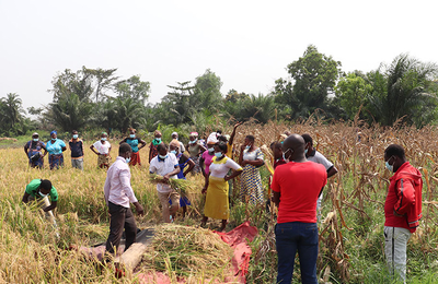 RESADE project implementation in Togo