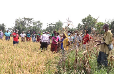 RESADE project implementation in Togo