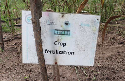 RESADE project implementation in Togo
