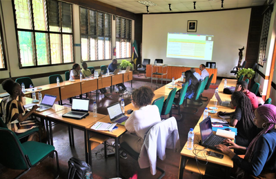 Mid -Term Review of the RESADE project by IFAD at Mozambique’s  Institute of Agricultural Research , Maputo Mozambique
