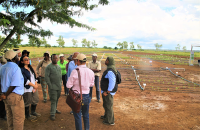 Visit to the RESADE Best Practice Hub by the Steering Committee Members