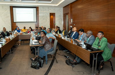 Stakeholders Workshop and 5th Steering Committee Meeting, Dubai, 4-6 Dec 2024