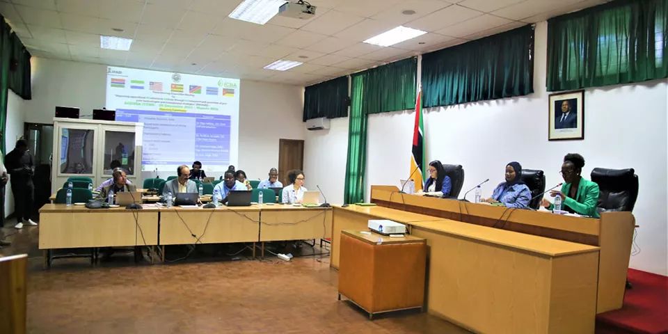 3rd Steering Committee meeting of the project
